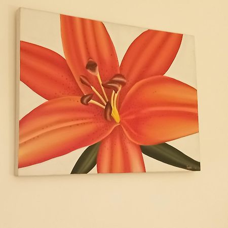 Appartement Croisette سانت ماكسيم المظهر الخارجي الصورة